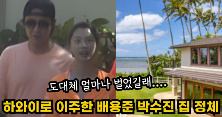 “도대체 얼마나 벌었길래….” 하와이로 이주한 배용준 박수진 집의 충격적인 정체