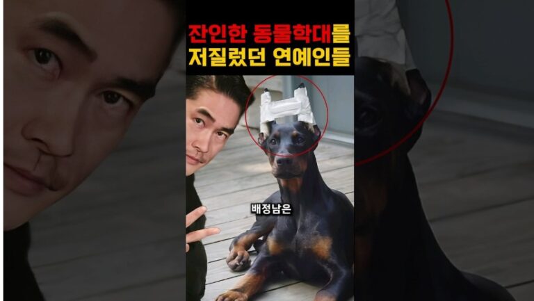 “강아지 학대 충격적인 상황..” 불쌍하고 충격적인 동물학대 연예인들 모음