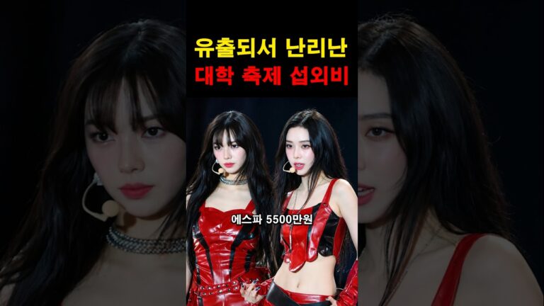 “걸어다니는 기업이 따로 없네…” 유출되자 난리난 가수들의 충격적인 축제 섭외비