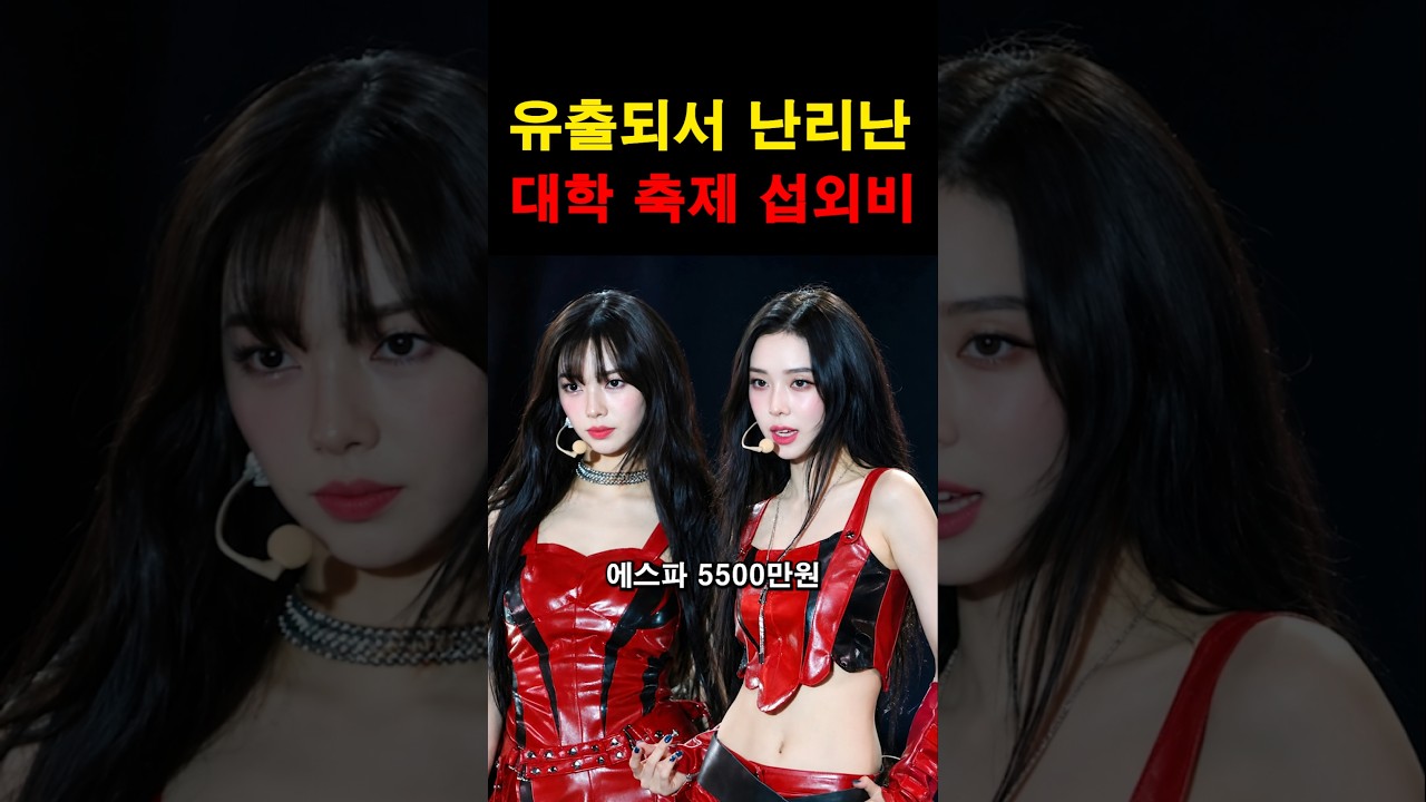 “걸어다니는 기업이 따로 없네…” 유출되자 난리난 가수들의 충격적인 축제 섭외비